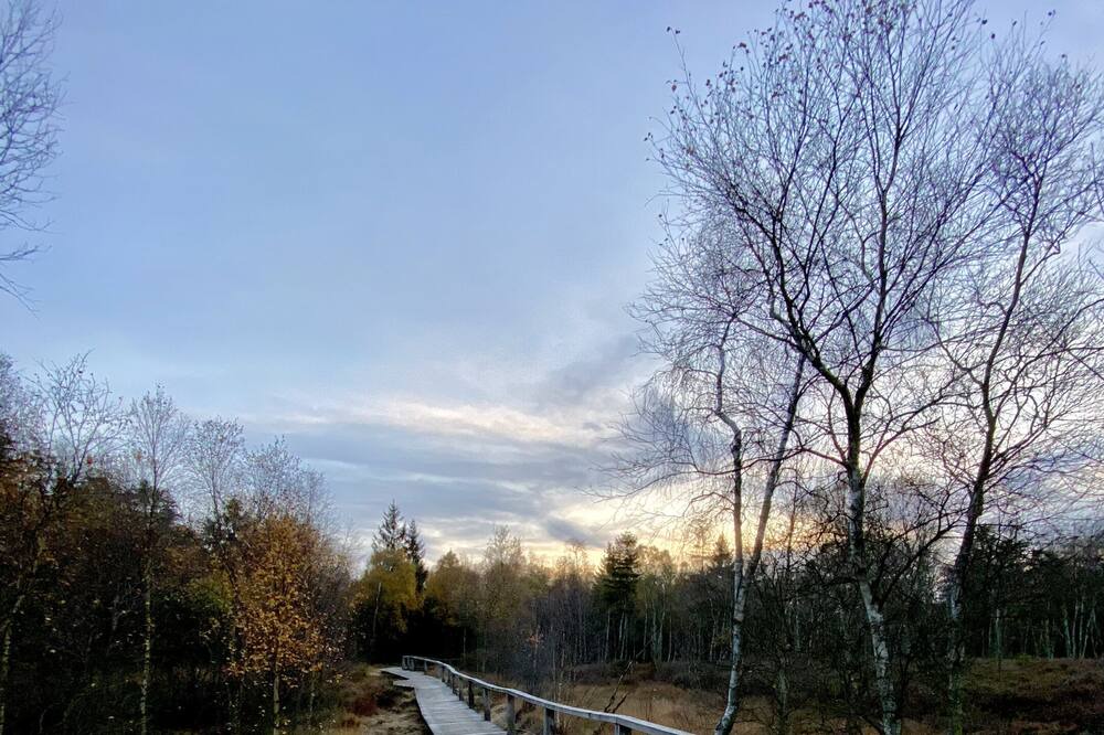 Photo of Others in Holzminden