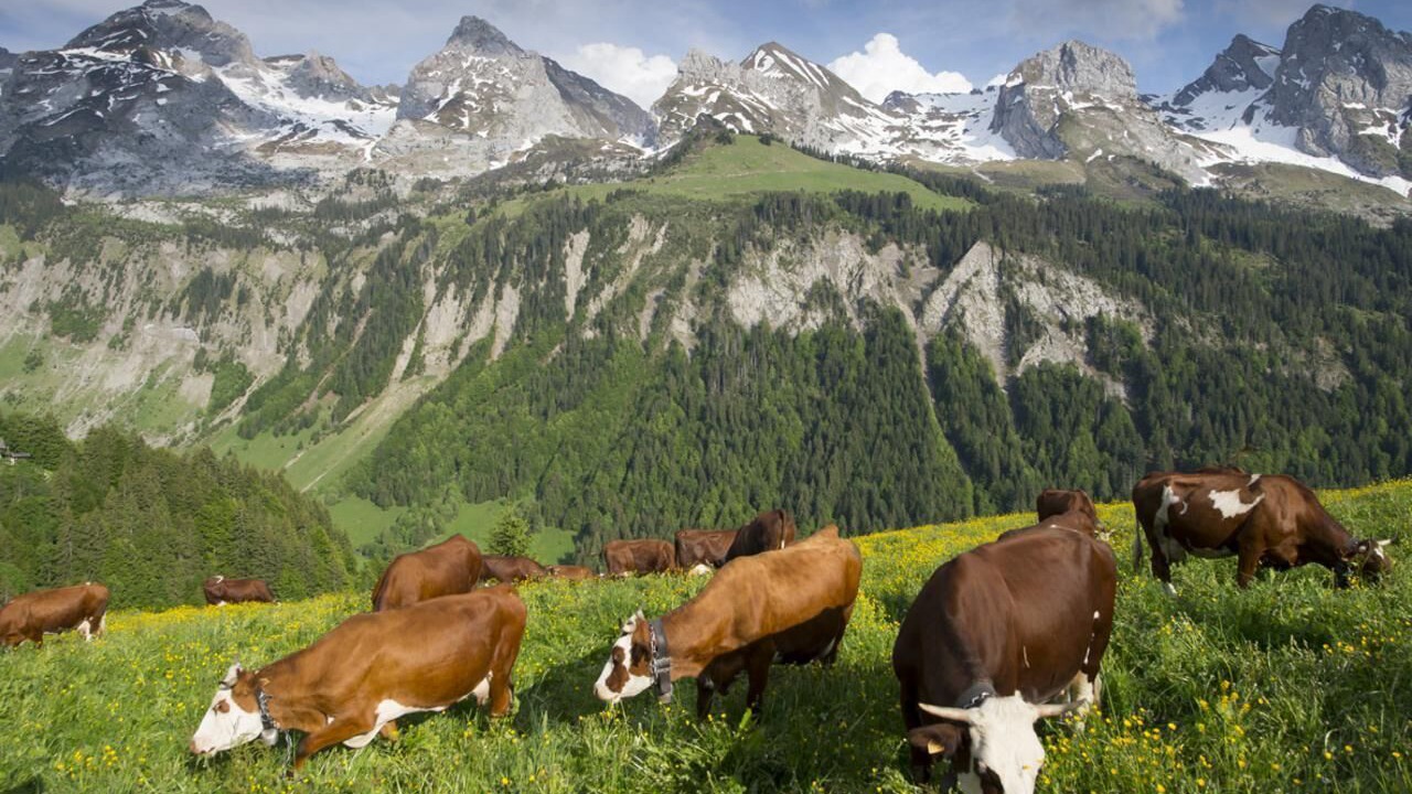 Photo of Others in Val-de-Fier