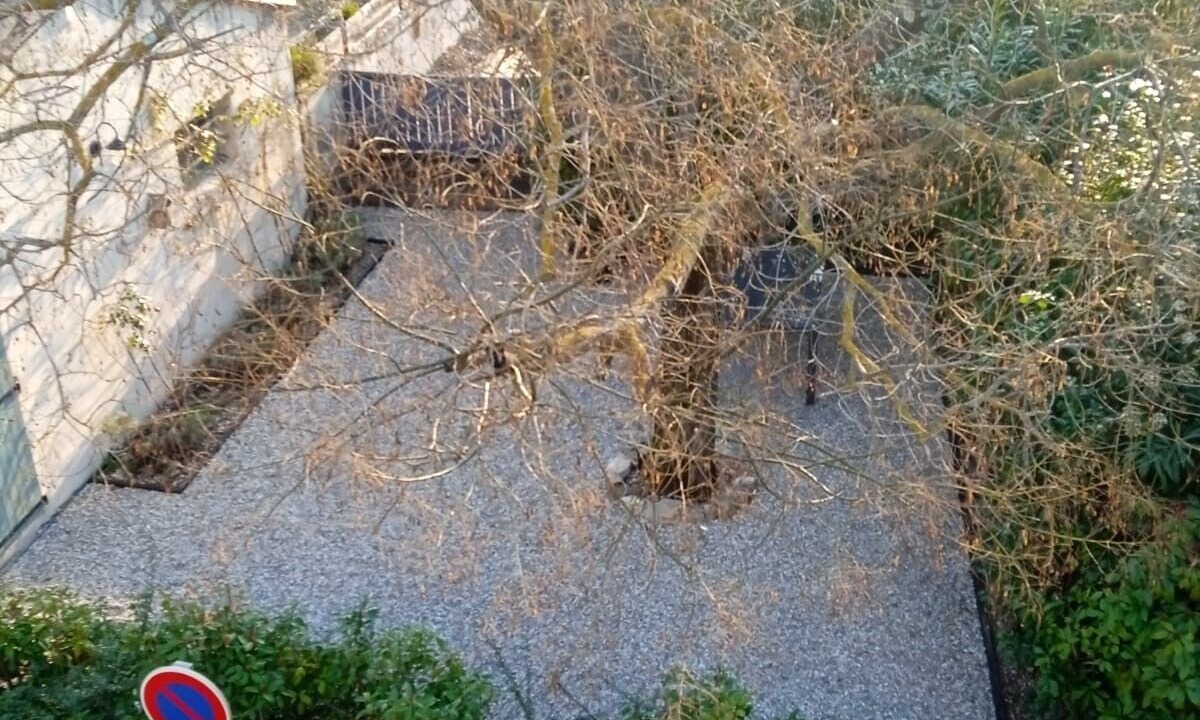 Photo of Outdoor in Garrigues-Sainte-Eulalie