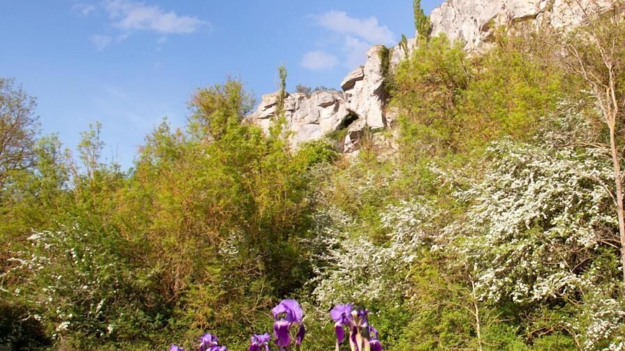 Photo of Outdoor in Mave