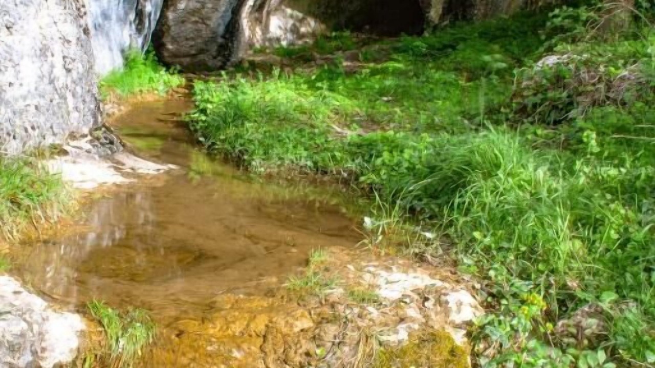 Photo of Outdoor in Mave