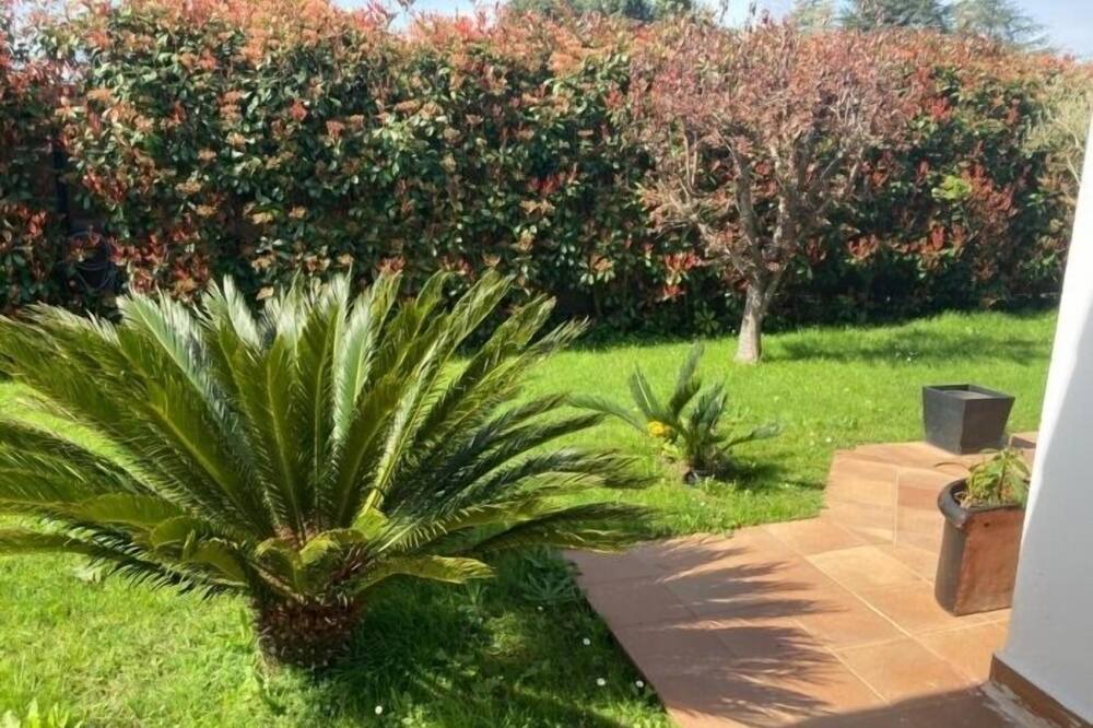 Photo of Outdoor in Ribamontan al Monte