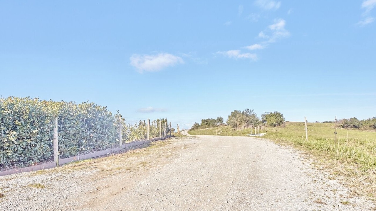 Photo of Outdoor in El Tejo