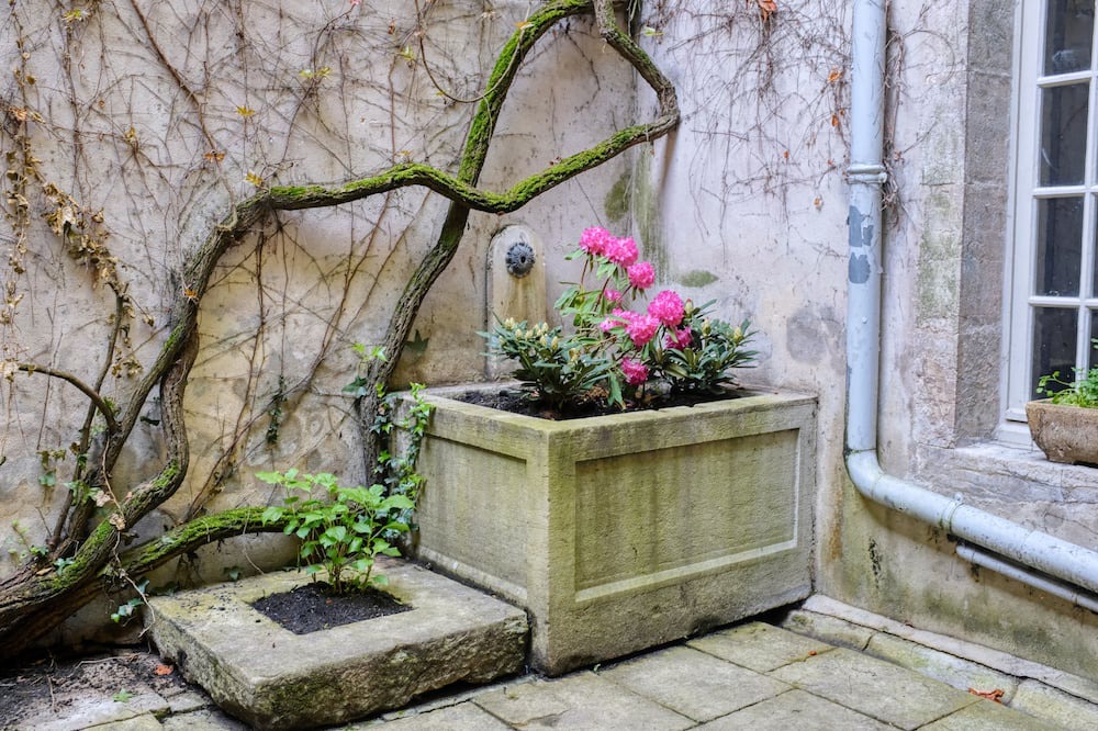 Photo of Outdoor in Poligny
