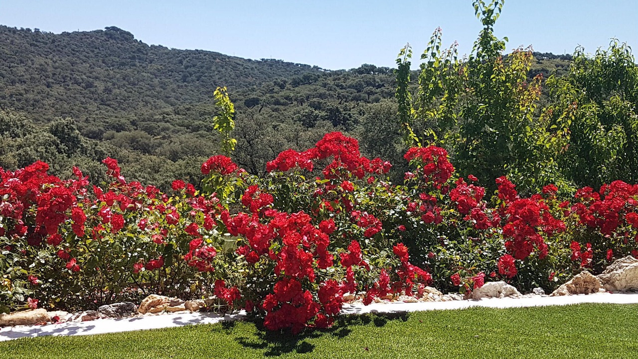 Photo of Outdoor in La Granada de Rio-Tinto