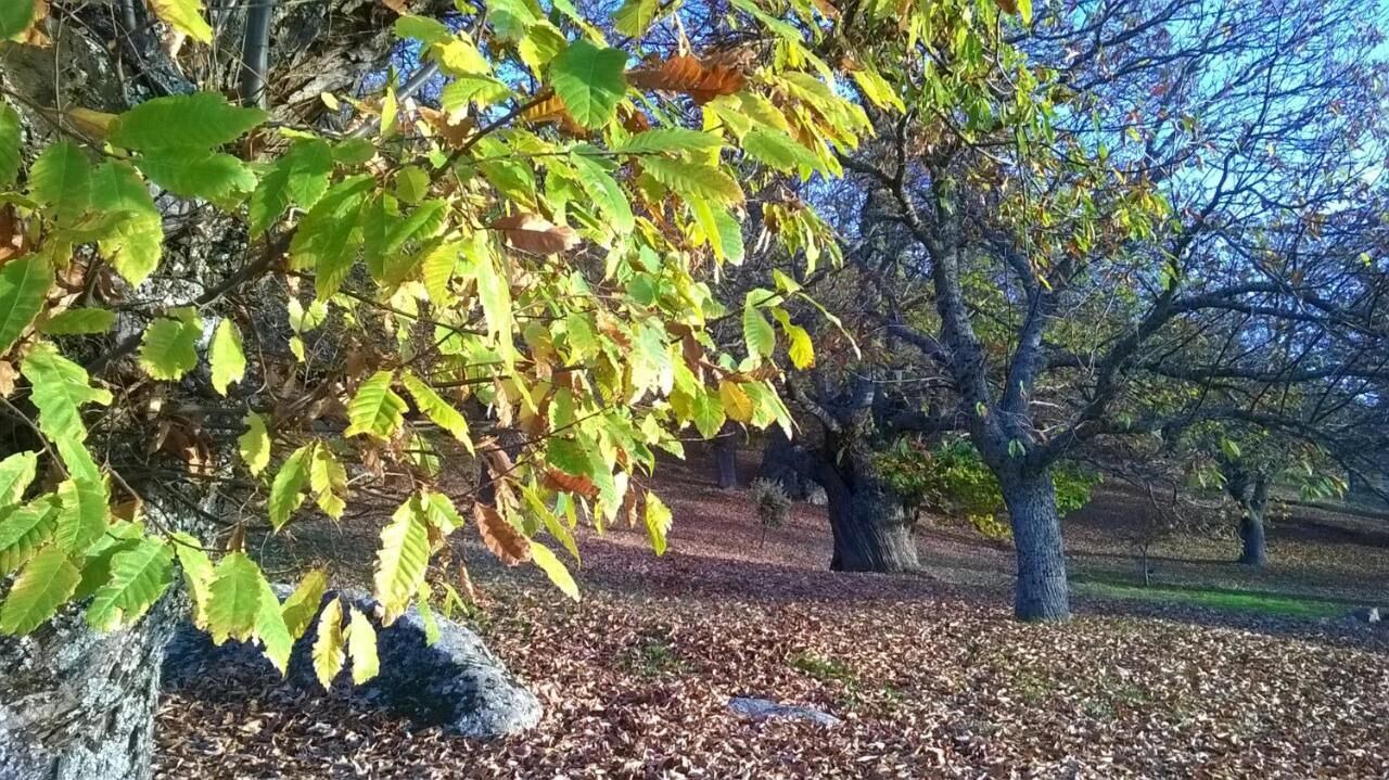 Photo of Outdoor in Neila de San Miguel