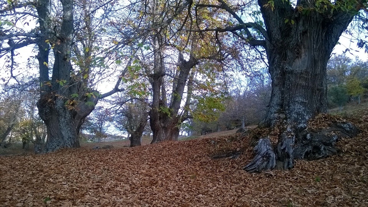 Photo of Outdoor in Neila de San Miguel