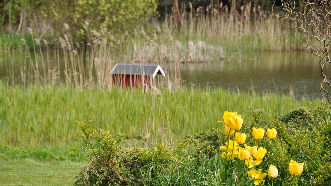Photo of Outdoor in Albertsdorf