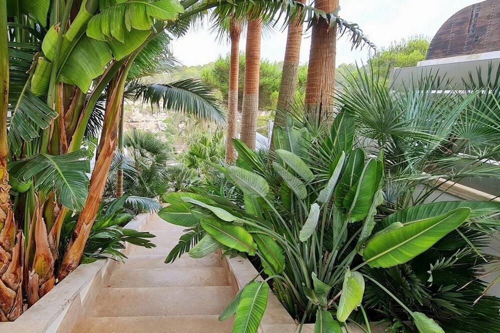 Photo of Outdoor in Cala Pi