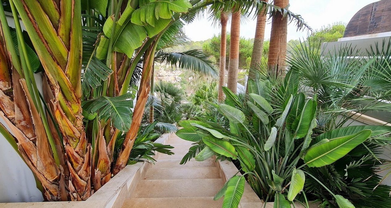 Photo of Outdoor in Cala Pi