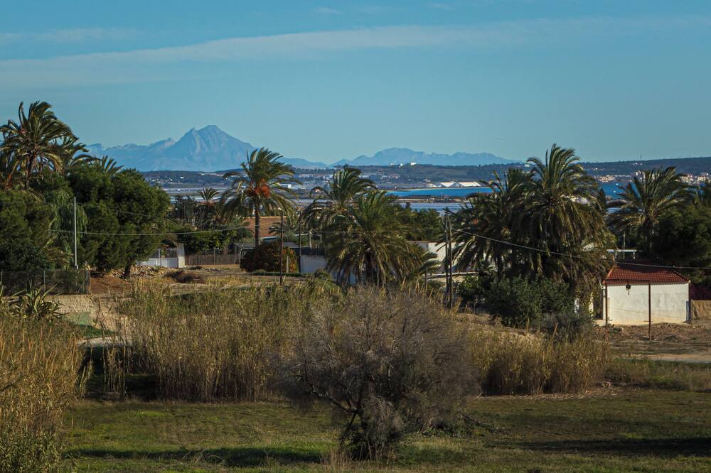 Photo of Outdoor in La Marina