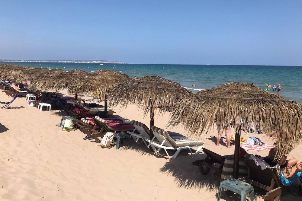 Photo of Others in La Marina