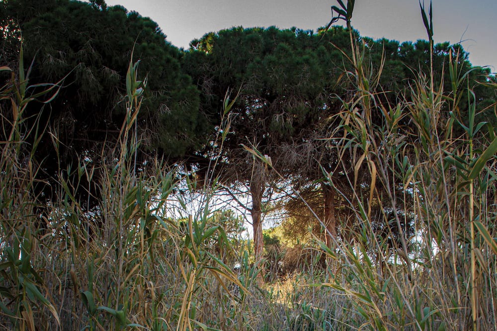 Photo of Outdoor in La Marina