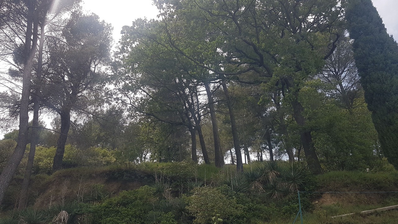 Photo of Others in Villeneuve-les-Avignon