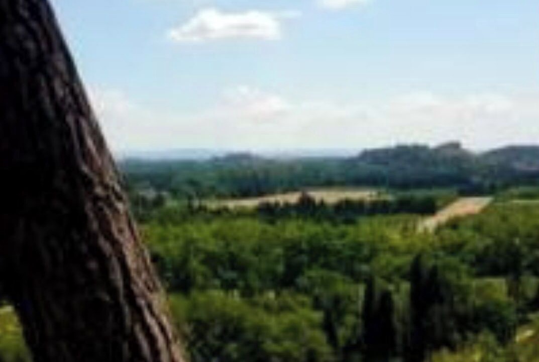 Photo of Others in Villeneuve-les-Avignon