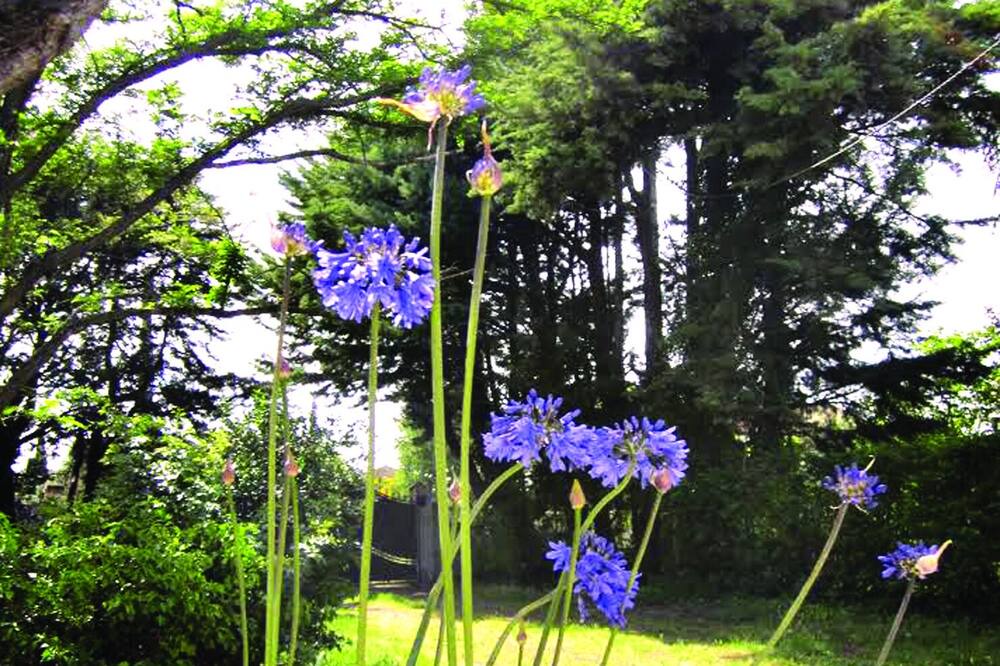 Photo of Outdoor in Robion