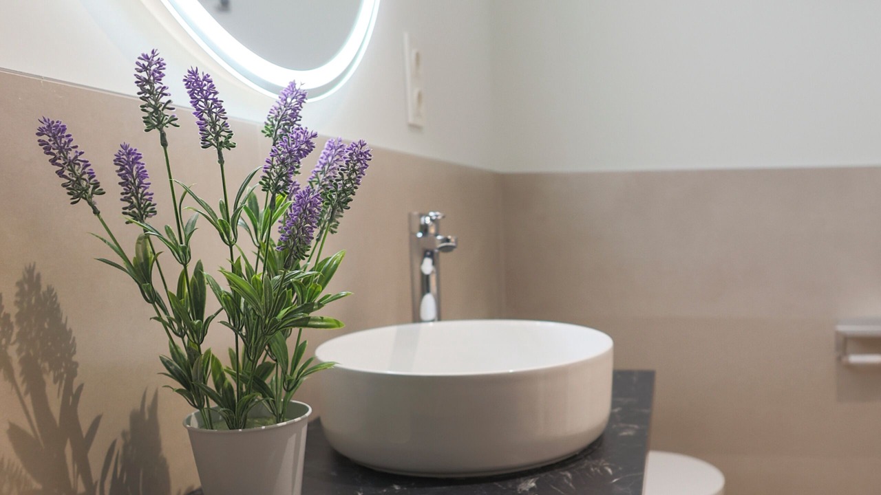 Photo of Bathroom in Alicante City Centre