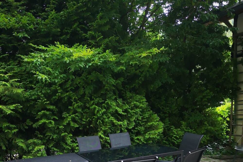 Photo of Patio Balcony in Weinbach