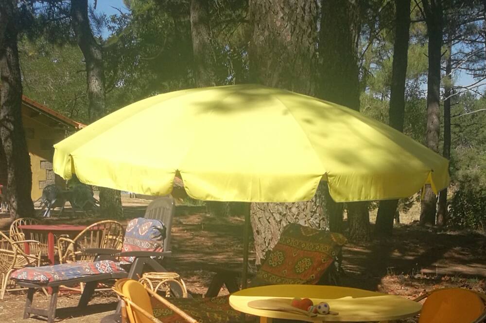 Photo of Outdoor in Navalperal de Pinares