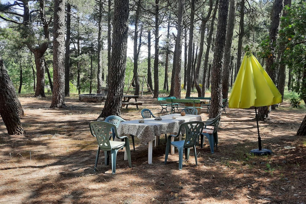 Photo of Others in Navalperal de Pinares