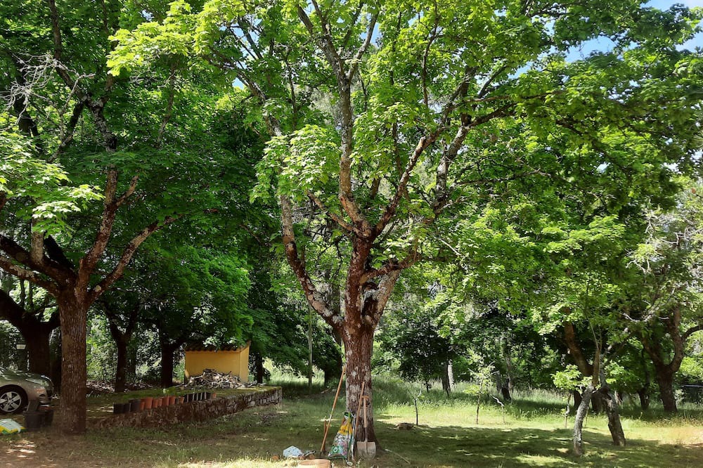 Photo of Outdoor in Navalperal de Pinares