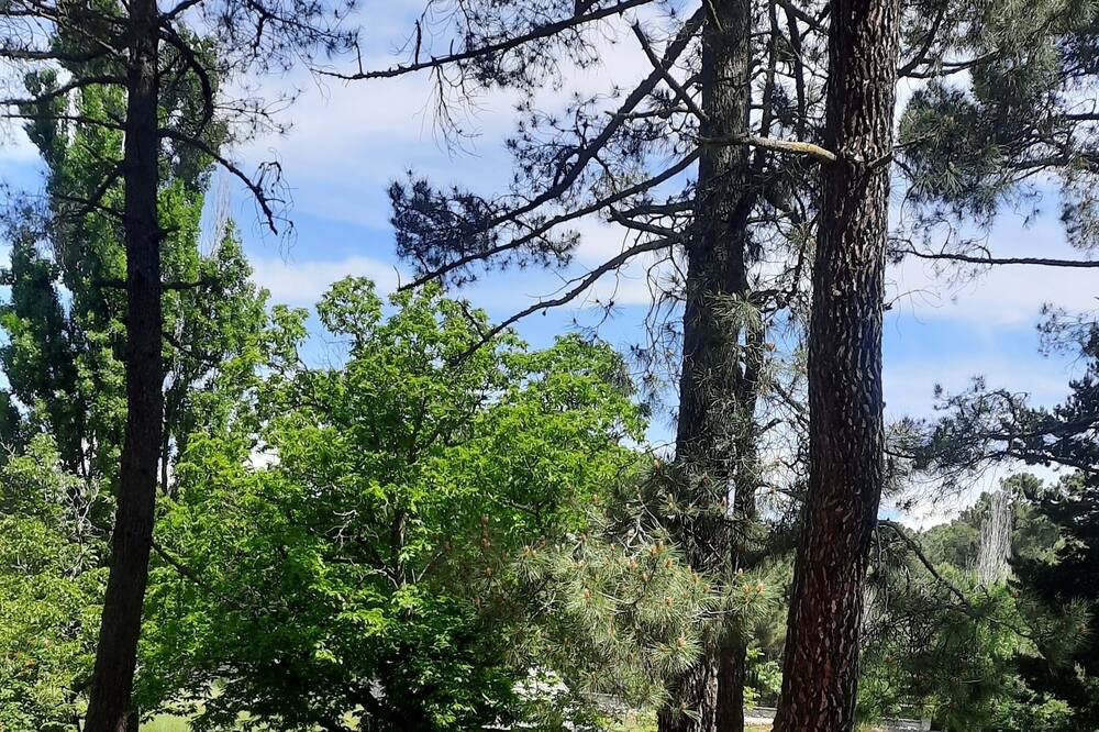 Photo of Outdoor in Navalperal de Pinares