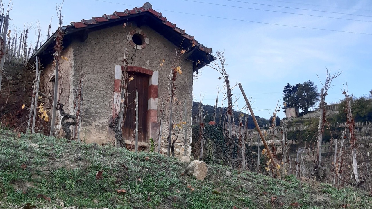 Photo of Outdoor in Cornas