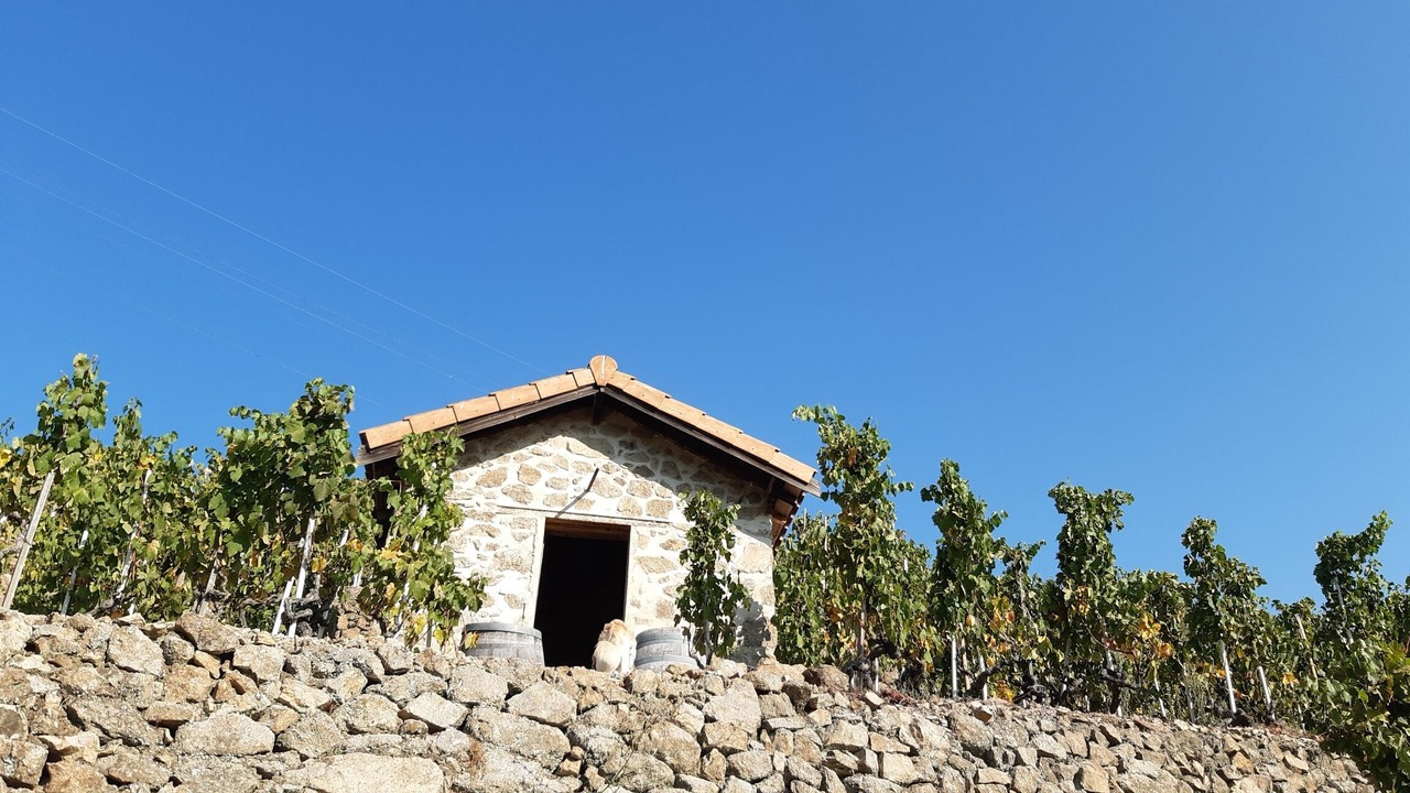 Photo of Outdoor in Cornas
