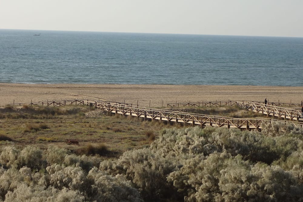 Photo of Others in Punta del Moral