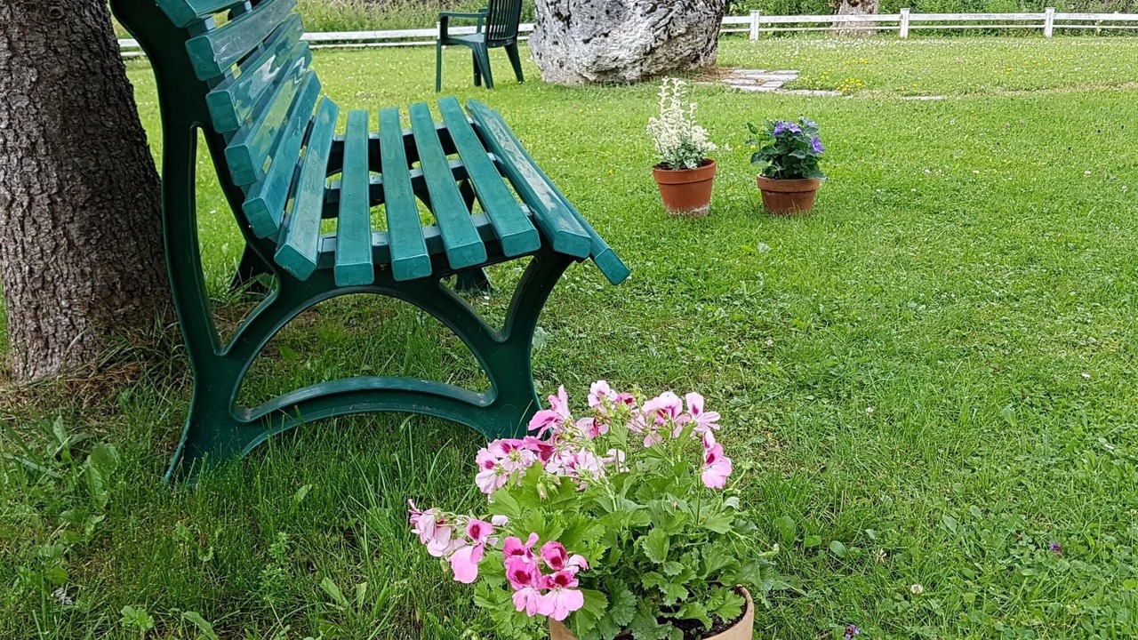 Photo of Outdoor in Mijoux