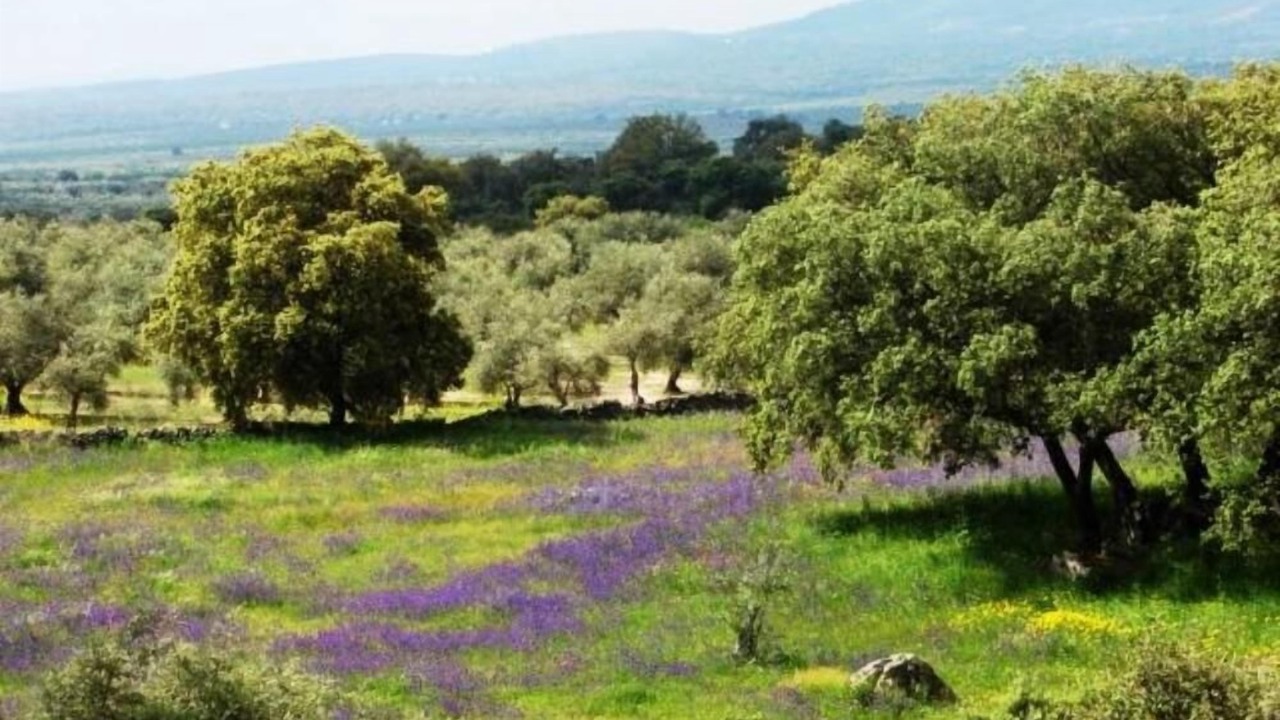 Photo of Outdoor in Arroyomolinos de Montanchez