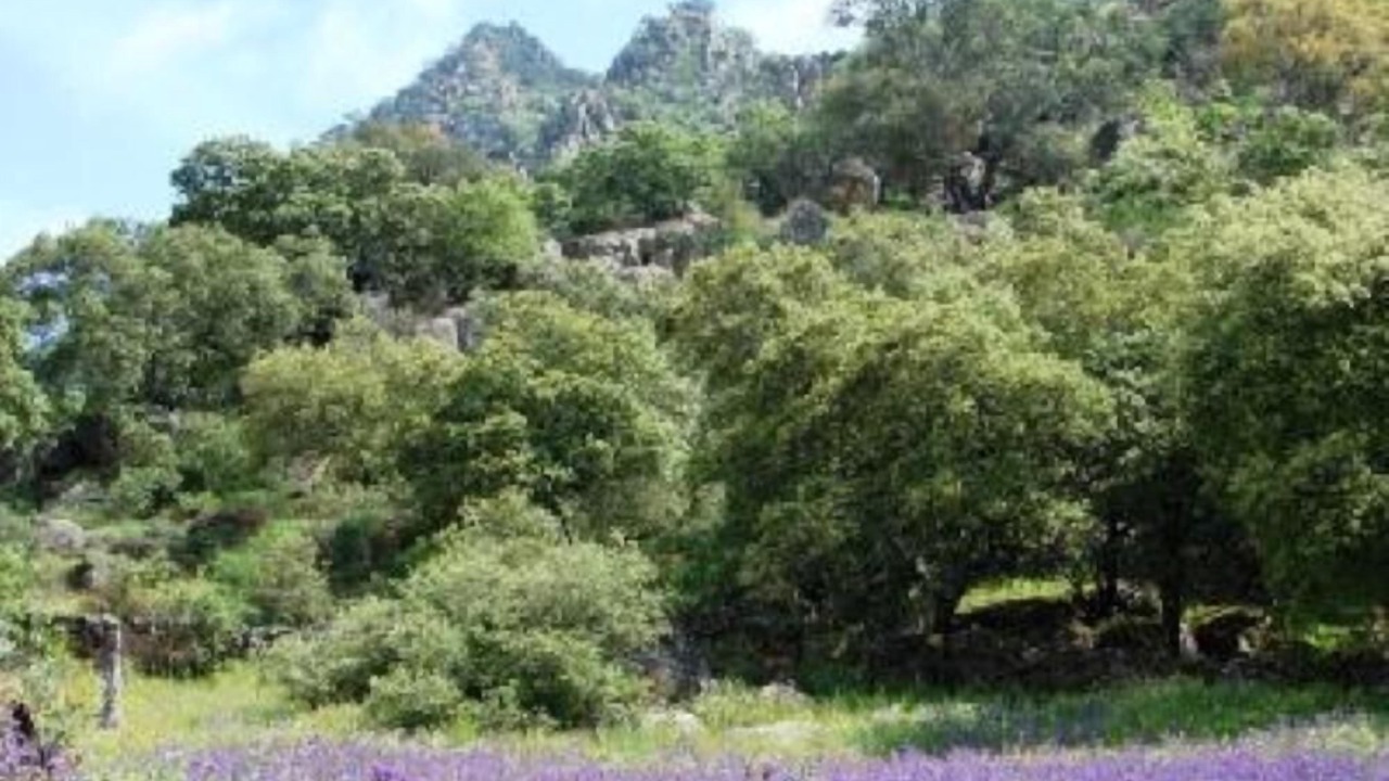 Photo of Outdoor in Arroyomolinos de Montanchez