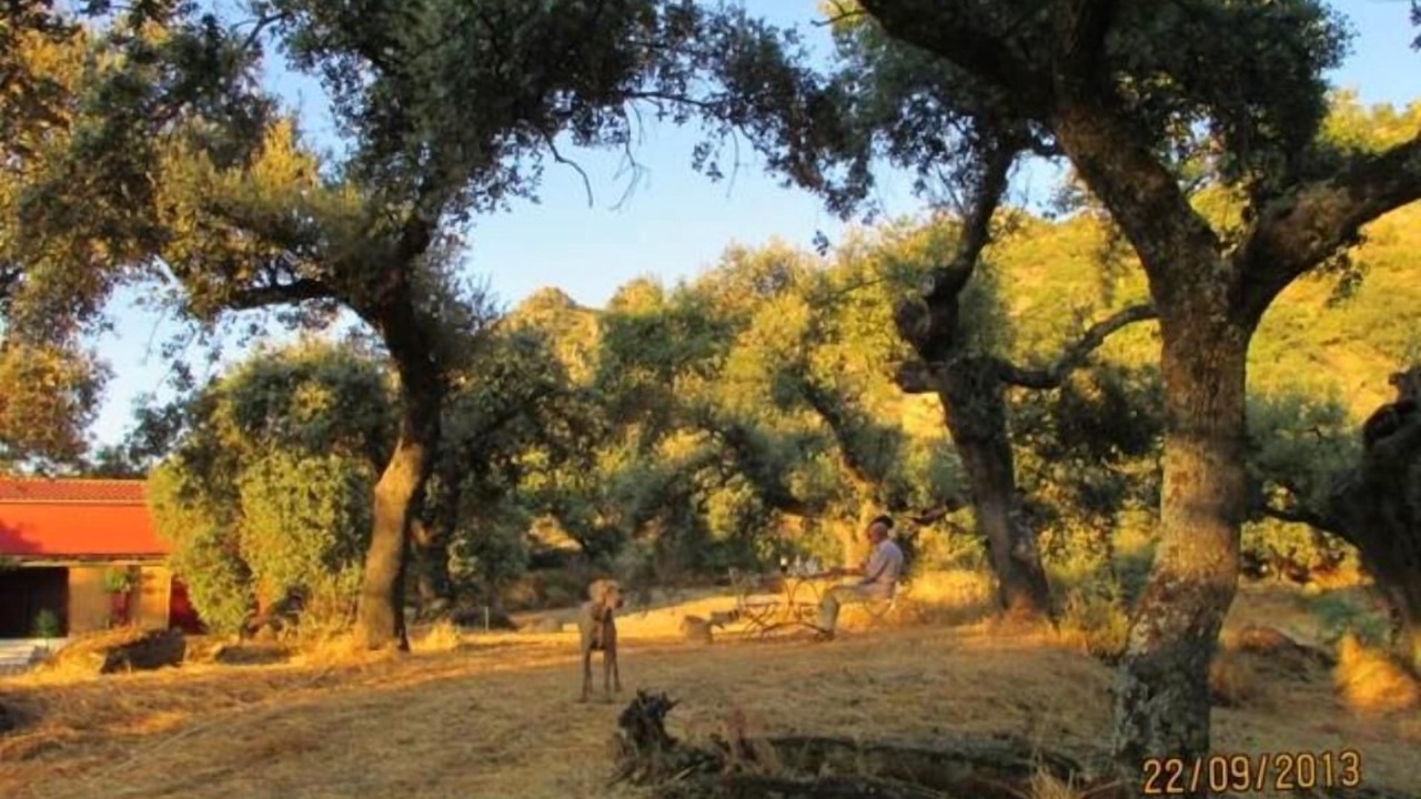 Photo of Outdoor in Arroyomolinos de Montanchez