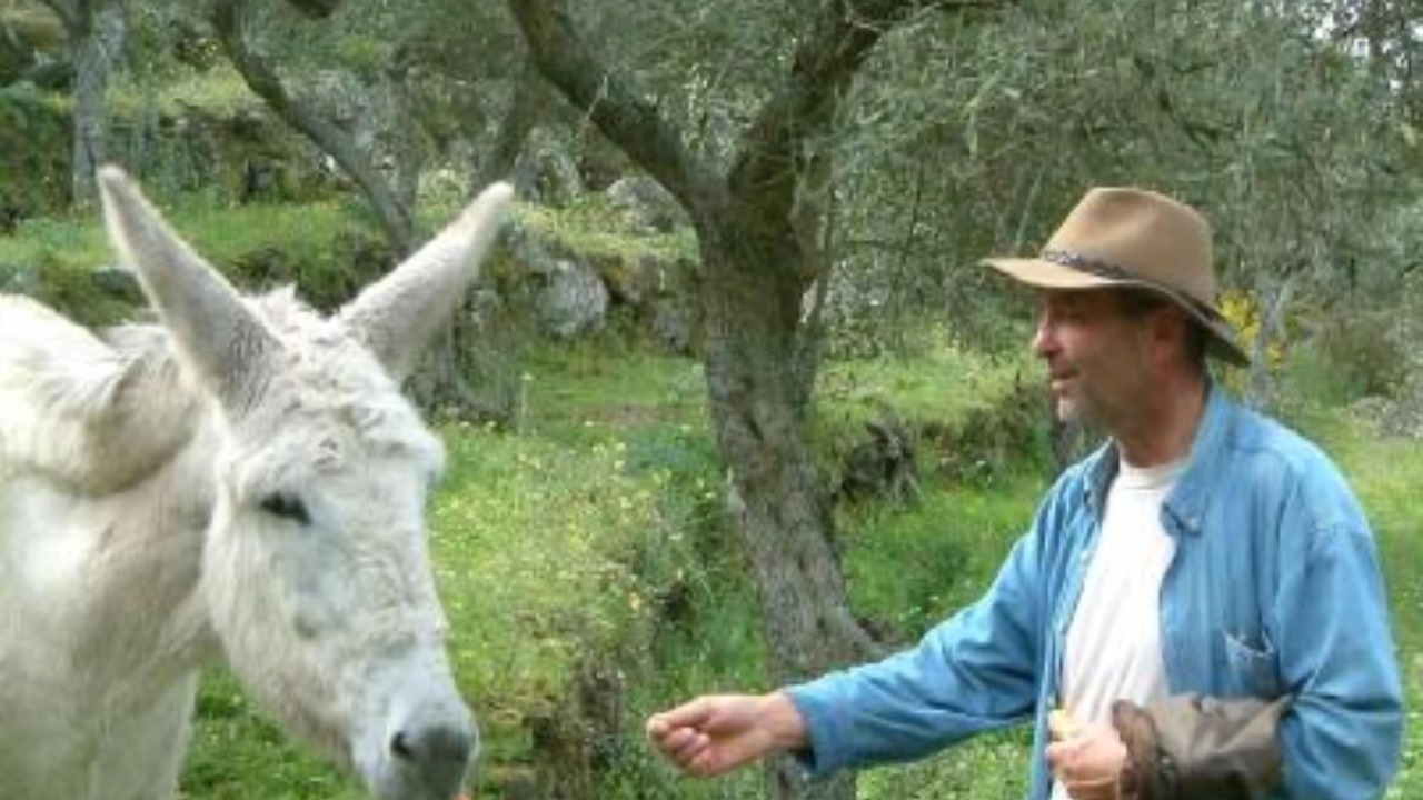 Photo of Outdoor in Arroyomolinos de Montanchez