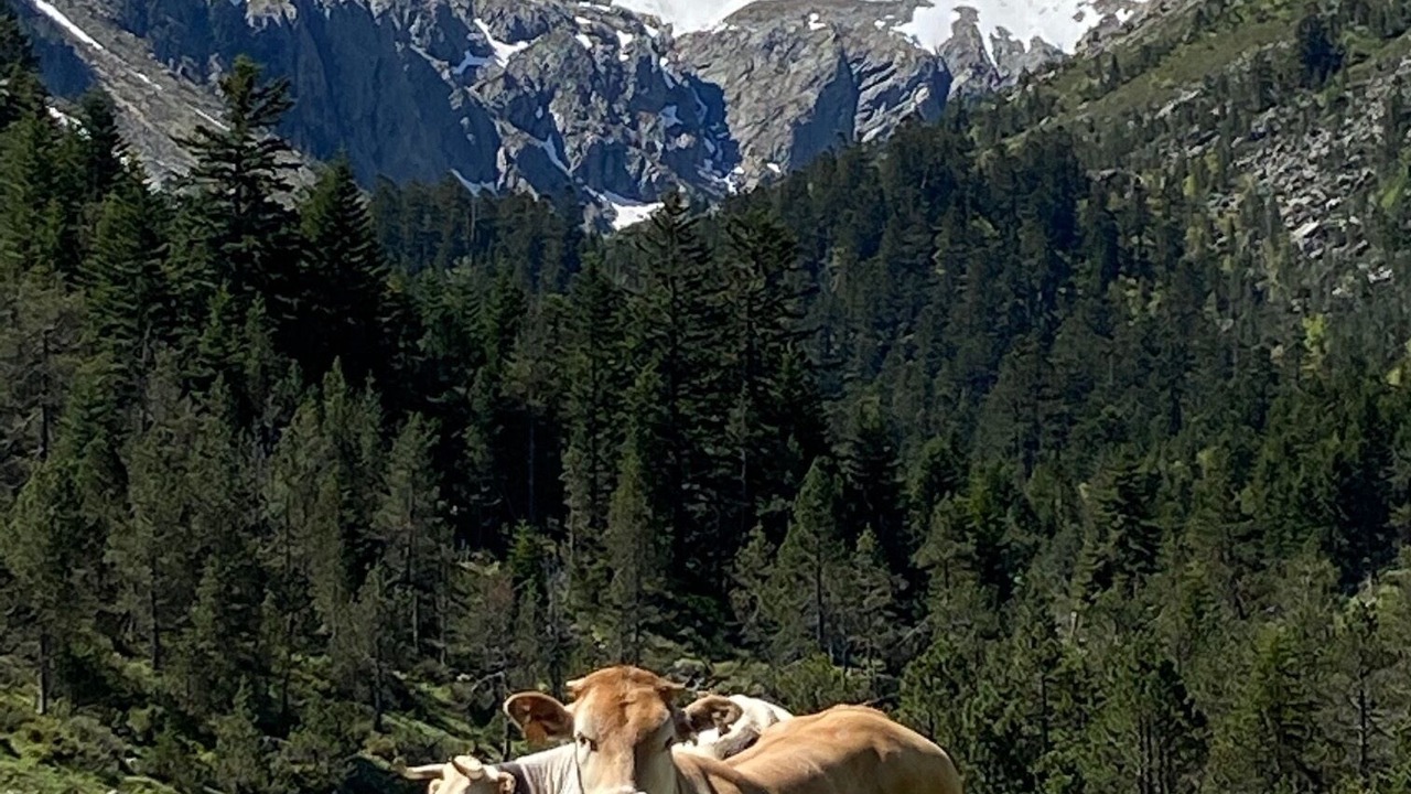 Photo of Outdoor in Cauterets
