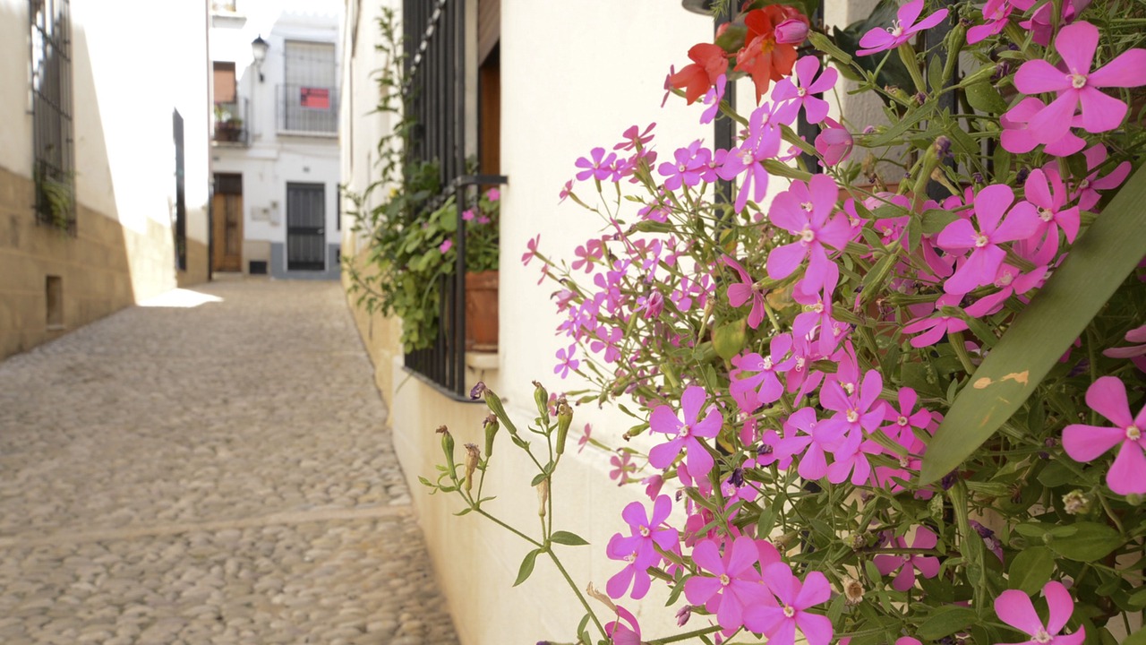 Photo of Outdoor in Benissa