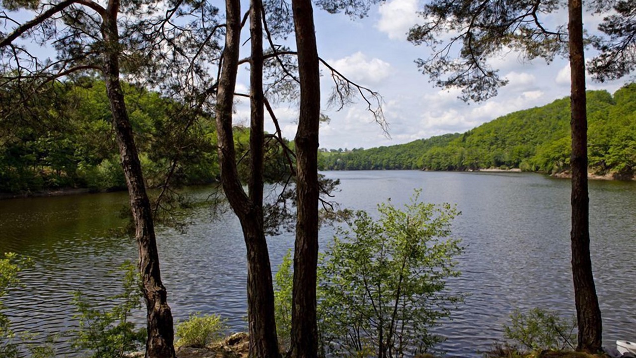 Photo of Outdoor in Lacapelle-Viescamp