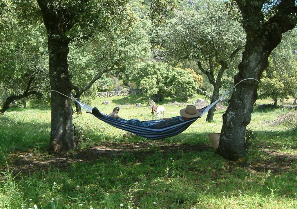Photo of Outdoor in Montanchez