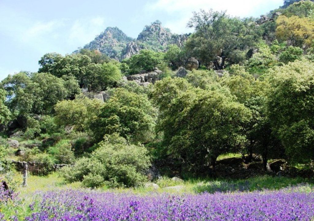 Photo of Outdoor in Montanchez