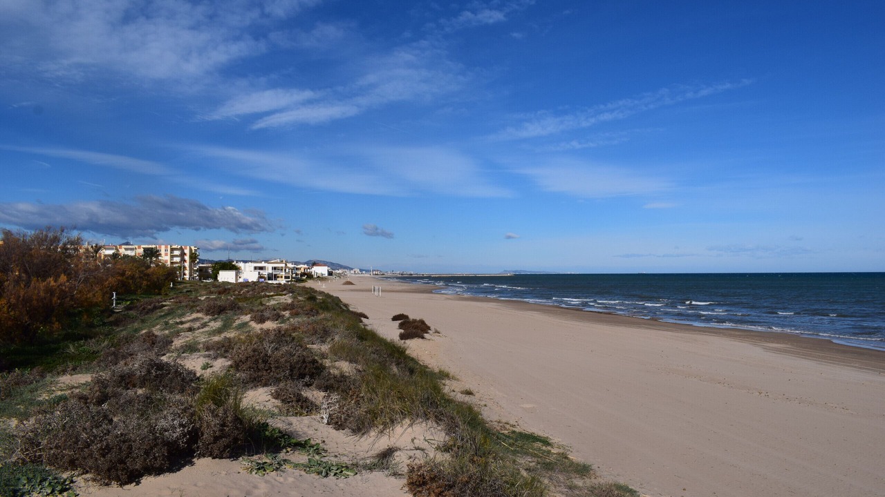 Photo of Others in Oliva