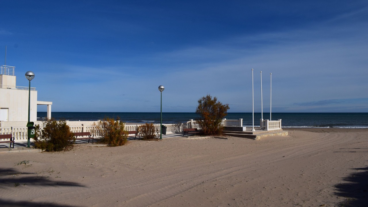 Photo of Others in Oliva