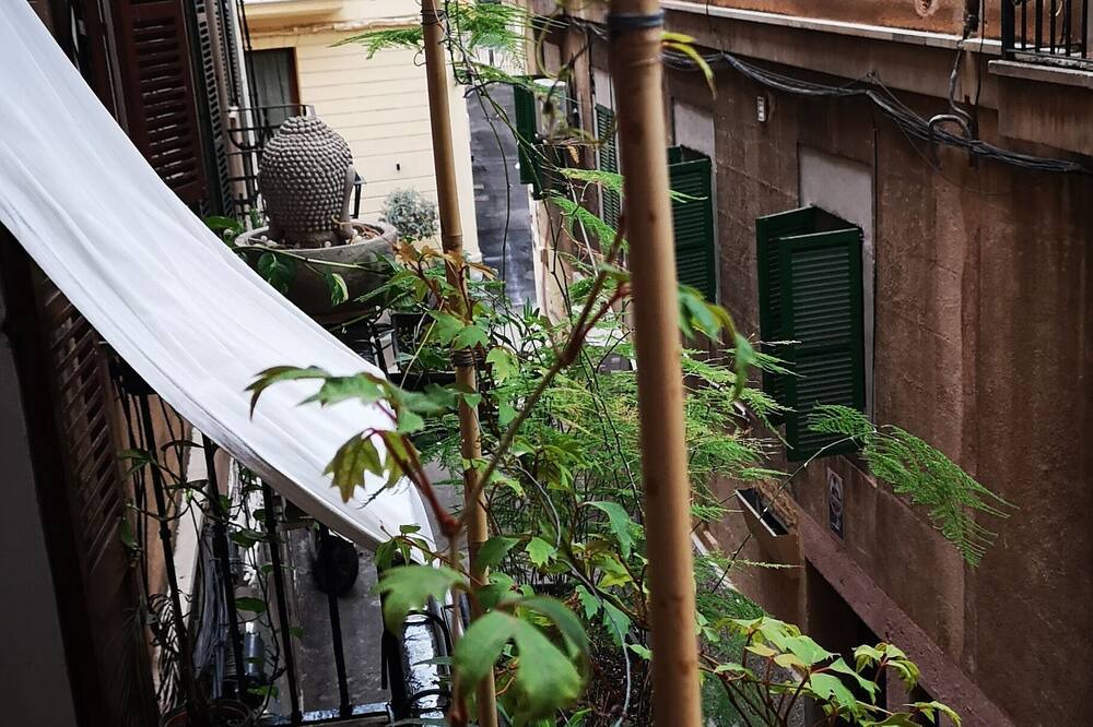 Photo of Outdoor in Palma de Mallorca
