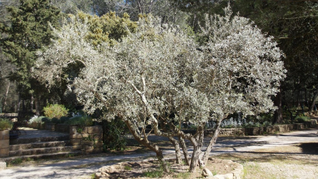 Photo of Outdoor in Grans