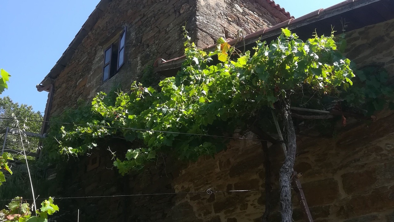 Photo of Outdoor in Carballedo