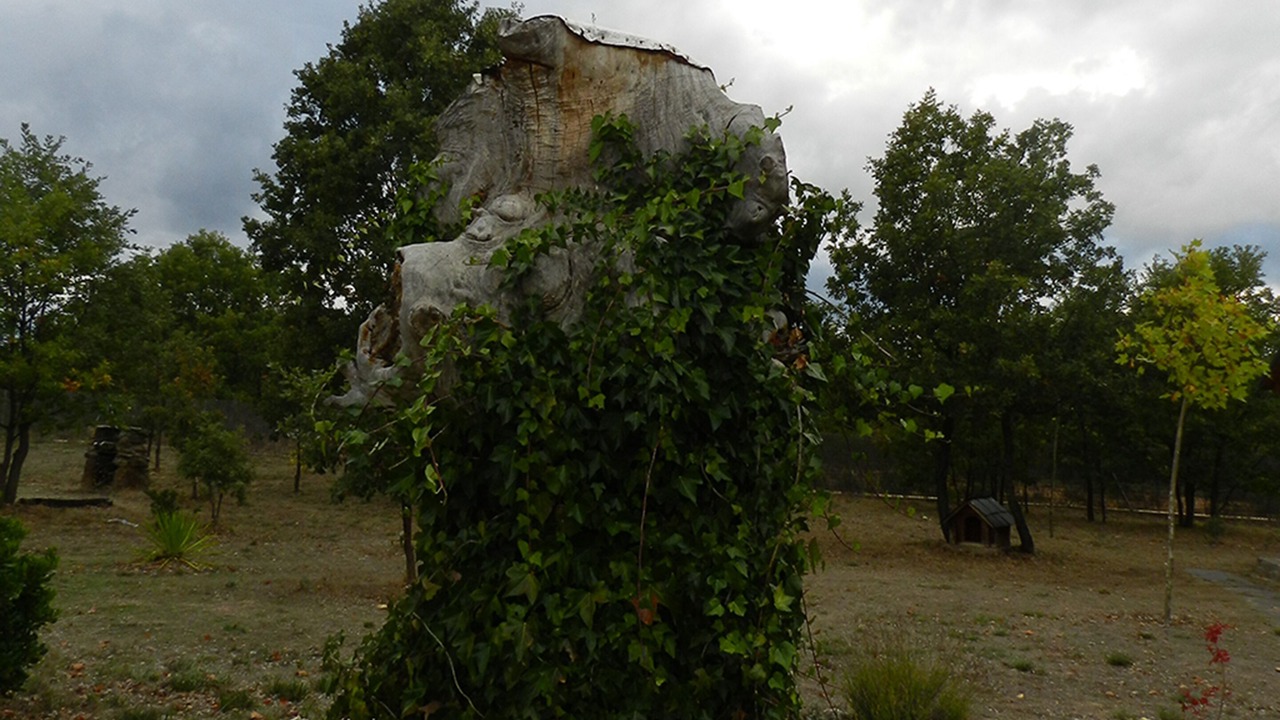 Photo of Outdoor in Manzanal de los Infantes