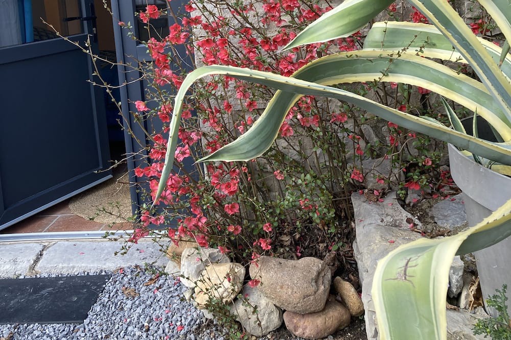 Photo of Outdoor in Chandolas