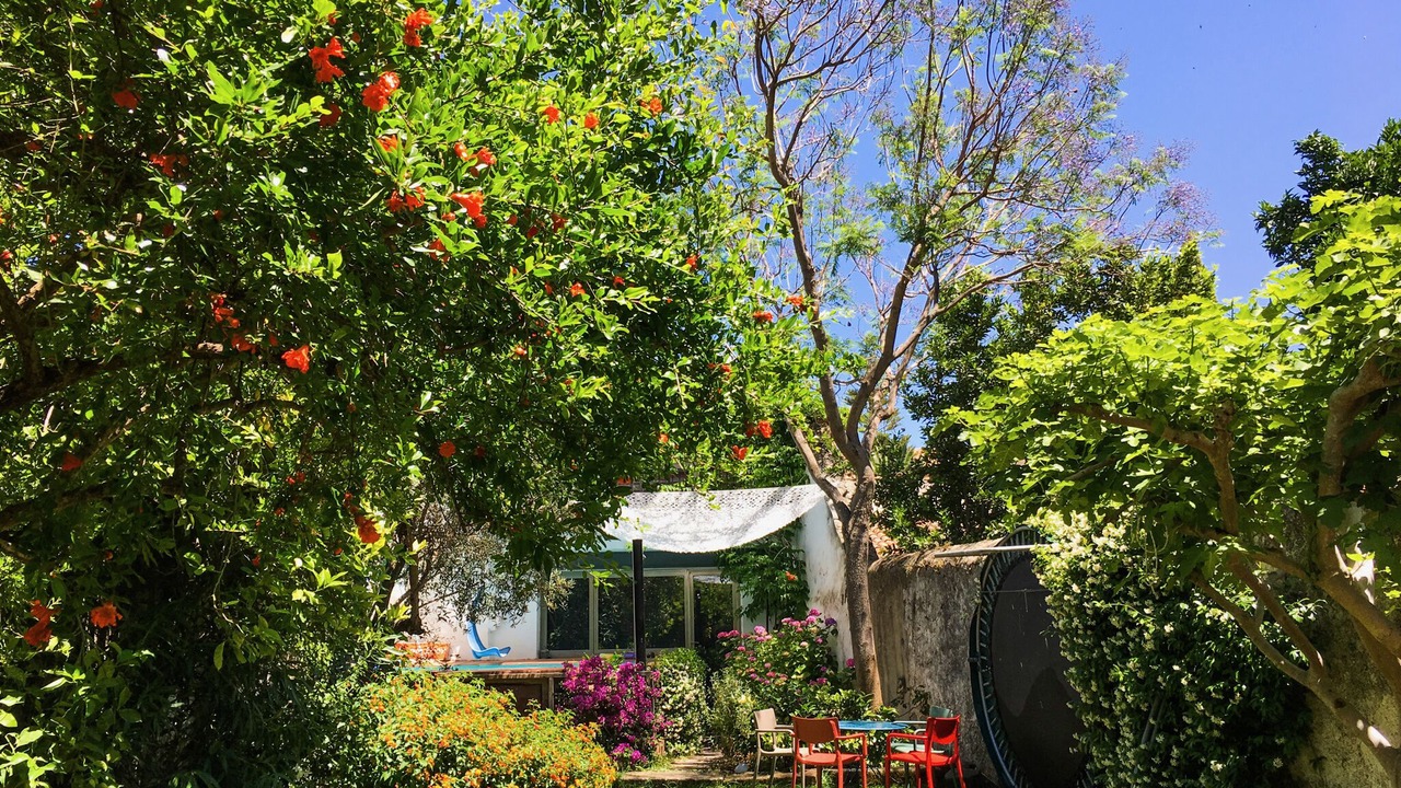 Photo of Outdoor in Trujillo