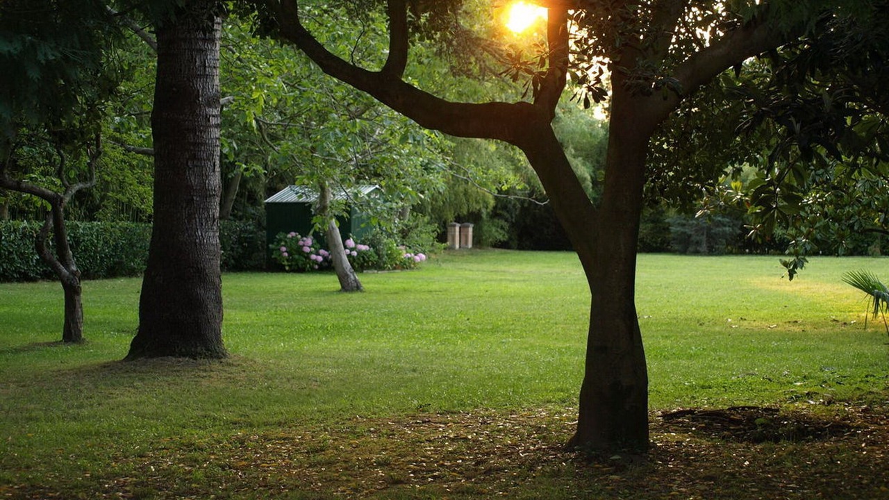 Photo of Others in Villabanez