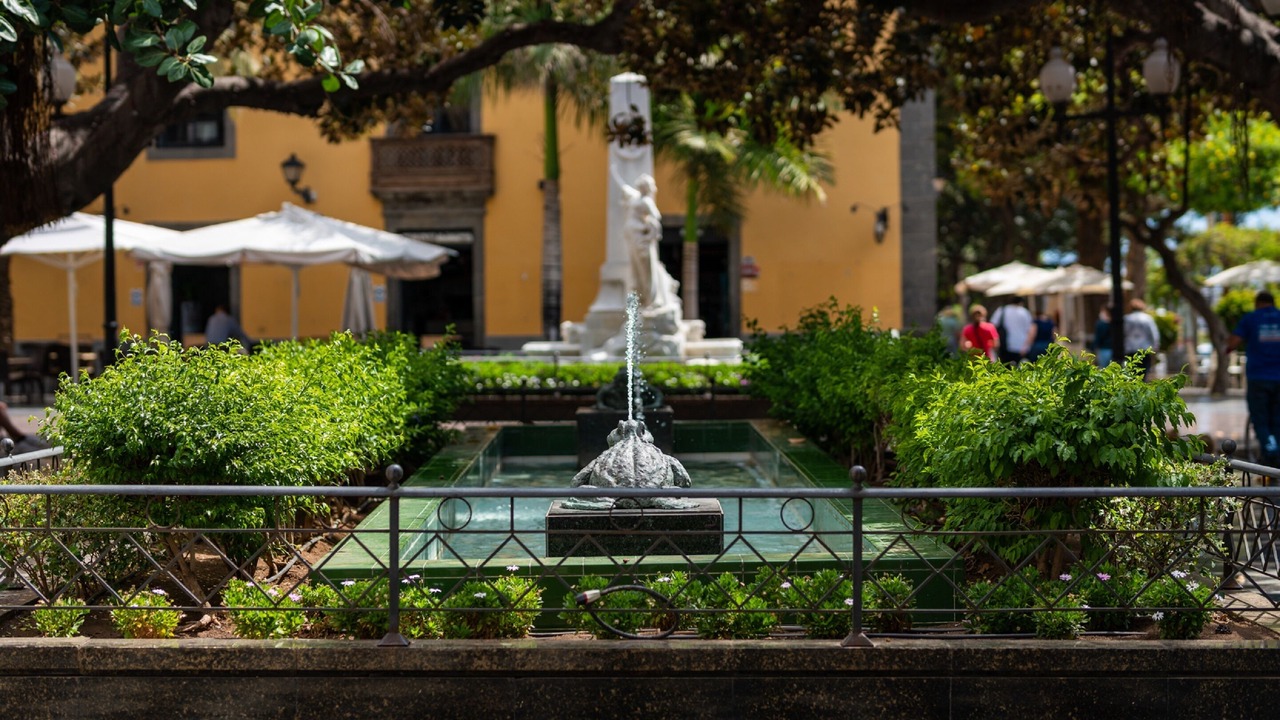 Photo of Outdoor in Vegueta