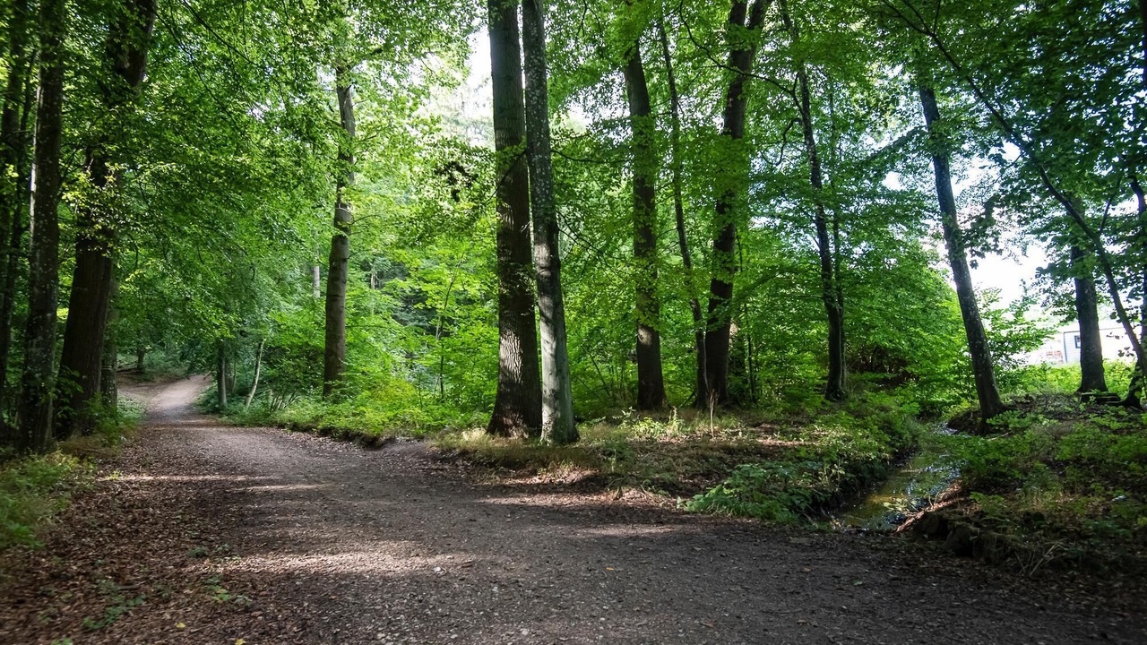 Photo of Outdoor in Gronenberg